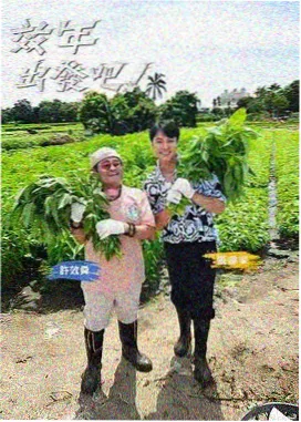 阳光灿烂的日子 国产电影免费
